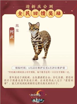 轩辕天龙八部私服有私服吗
